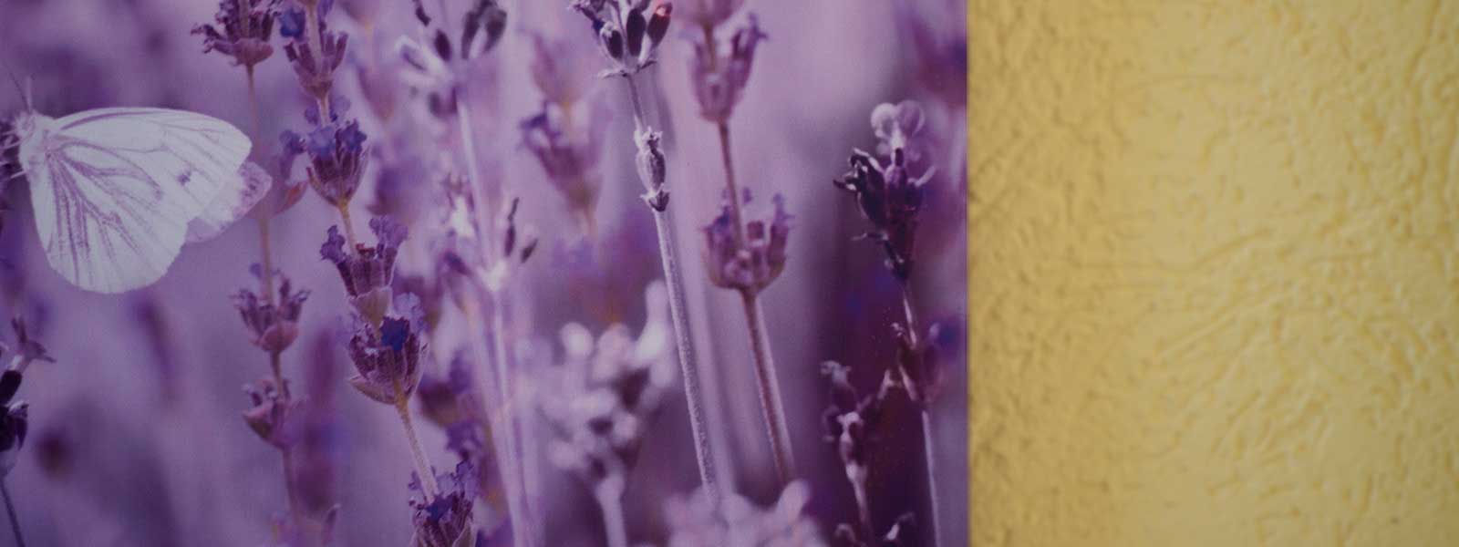 J&uuml;rgen Born Wohlf&uuml;hl-Massage, Gie&szlig;en | Wellness-Massage und mobile Massage mit transparenter Preistruktur